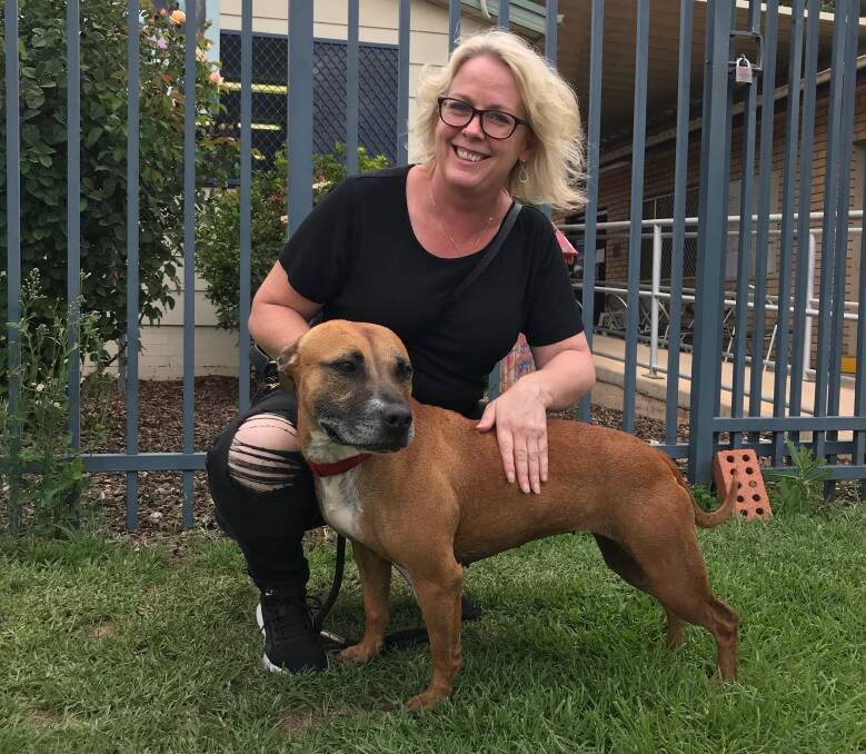 CONNECTION: Alyson Yager adopted Sugar from the RSPCA after the seven-year-old American Staffordshire Terrier cross breed climbed onto her lap. Photo: SUPPLIED