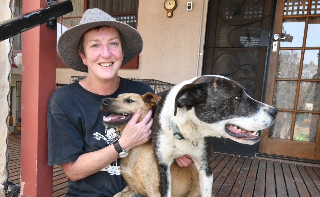 GENEROUS: Louise Harcombe with her two current foster dogs Pip, who was to have a trial adoption on the weekend, and Kenny. Photo: JUDE KEOGH