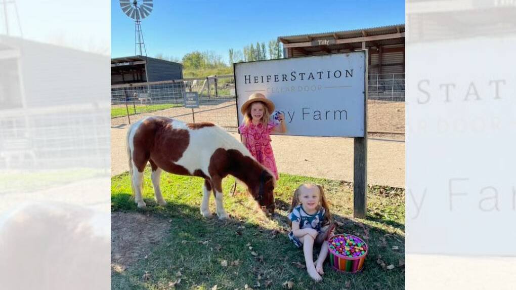 Tilly the Heifer Station pony with Gertie Thompson and Pippi Rue at Heifer Station in preparation for the Easter Family Fun Day. Picture supplied