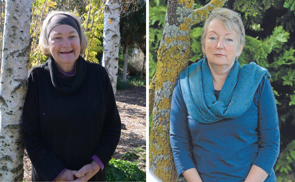 INSPIRING: Jenny Coleman OAM and Robyn Murray have been included in a book on women who have contributed to mental healthcare improvements. Photos: JUDE KEOGH