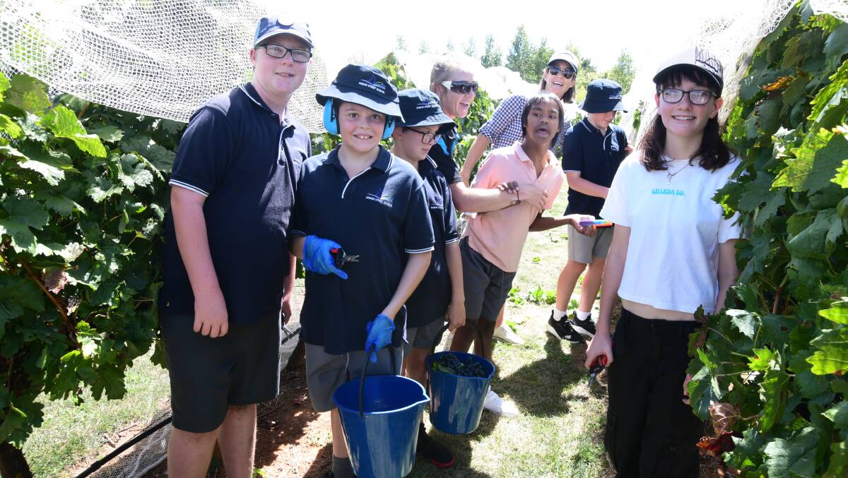 Anson Street School students and teachers Tyrone, Aiden, Horatio, Emily Callaway, Jarmal, Tahnia Seers, Isaiah and Chelsea in the vineyard of the Anson Farm wine label on Monday, March 11, 2024. Picture by Jude Keogh