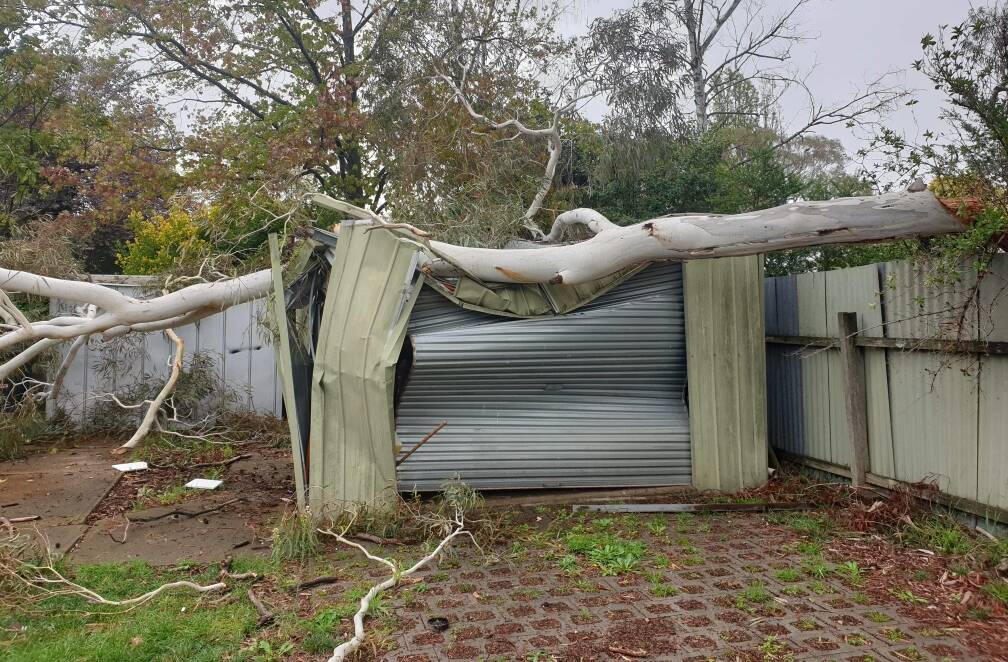 SQUASHED: There was a vehicle in a garage that was crushed by a fallen tree on Friday. Photo: SUPPLIED