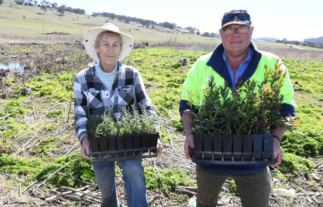 RIPARIAN REGENERATION: Cilla Kinross and Bill Josh with some of the plants that will be planted on the Habitat Creation Day. Photo: JUDE KEOGH