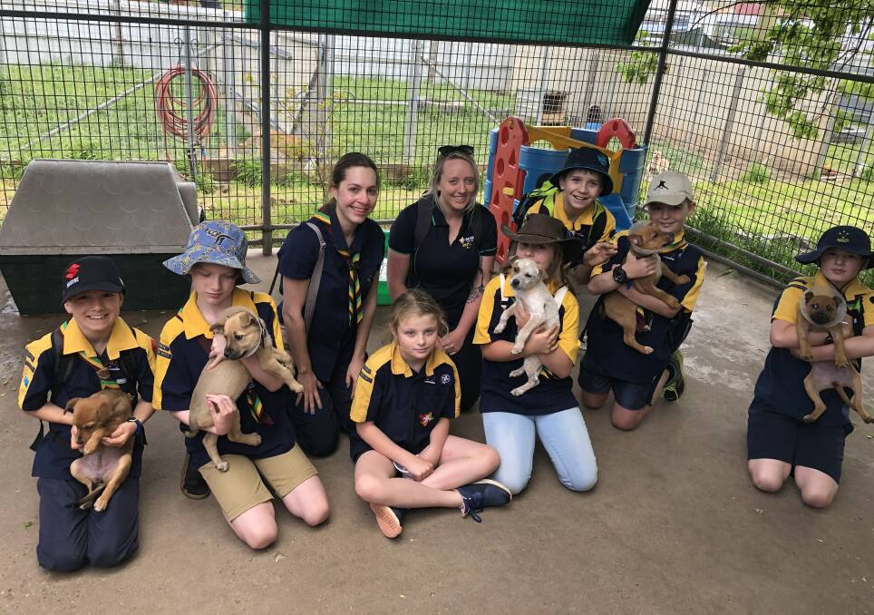 SOCIALISATION: Josh Blackwell, Rydar Kennedy, Simone Allen, Charli Hills, Rohan Wythes, Jordyn Auliff, Noah Waterhouse-Bish, Shay Mclachlan and Paige Townsend with puppies, Puppies Sprite, Pepsi, Fanta, Solo and Coke.