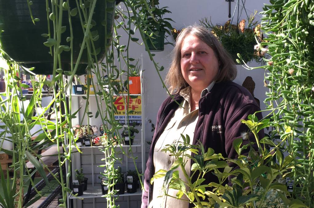 POPULAR: Thomson's Garden Centre horticulturalist Mary Ann Mein said when people started working from home interest in indoor plants grew.
