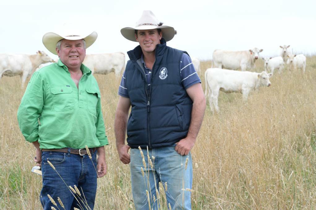 CLOSE WATCH: Michael and James Millner from Rosedale Charolais near Blayney.
