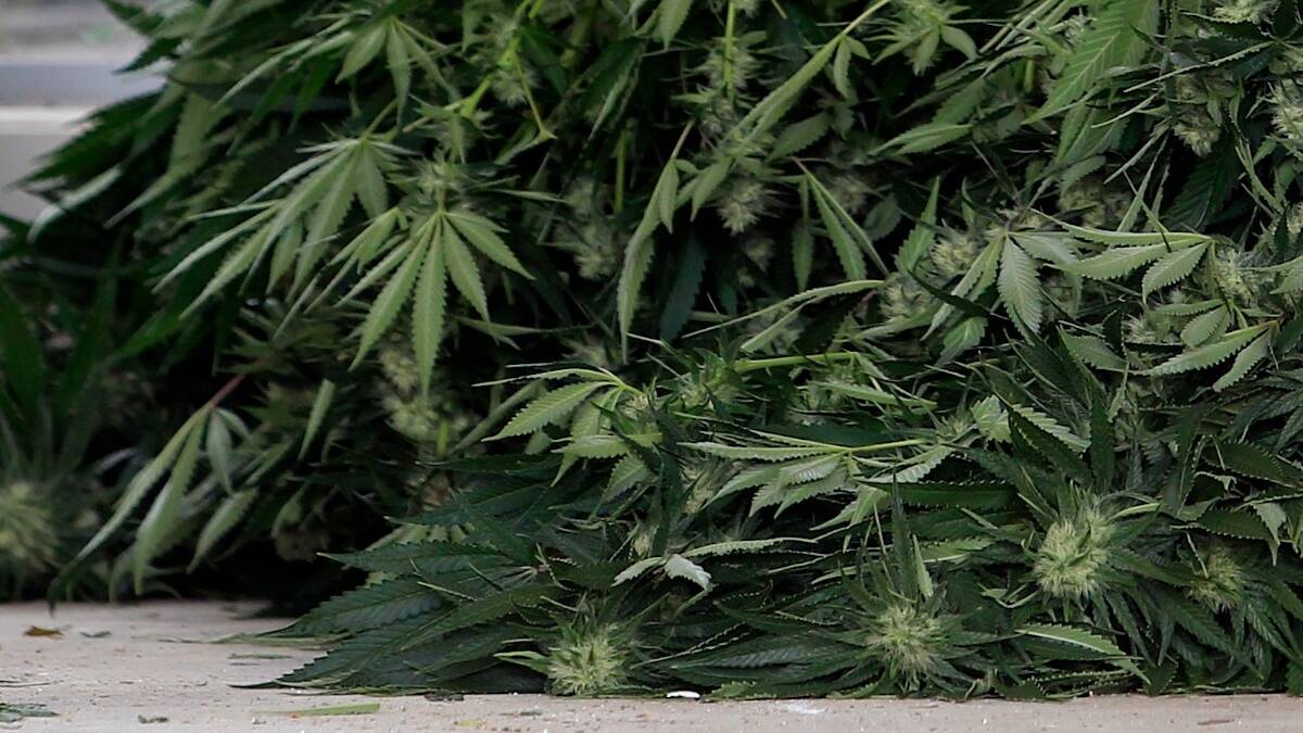 REHABILITATION: A man who was found in possession of three bags of cannabis leaf has been sentenced in Orange Local Court. FILE PHOTO 