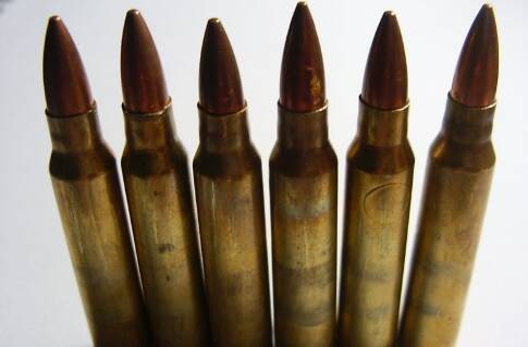 UNLICENSED: Two men have been convicted of possessing ammunition. Photo: WWW.FREEIMAGES.COM / MICHAEL SHANTZ