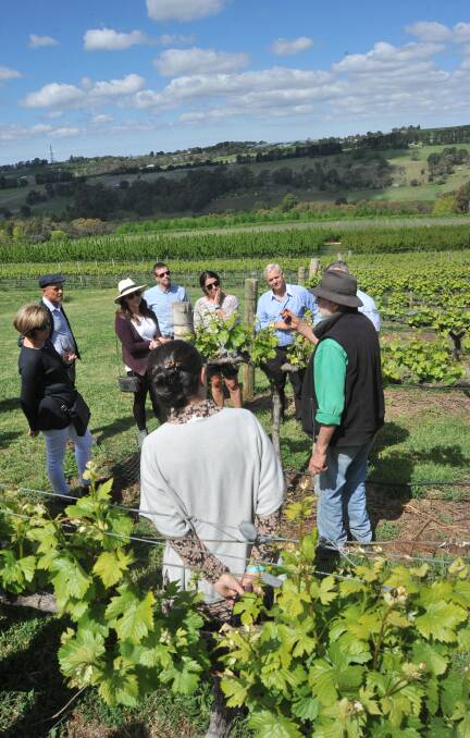 WINE IN THE VINES: Participants at Borrodell Vineyard during one of the stops for Wine in the Vines. Photo: JUDE KEOGH
