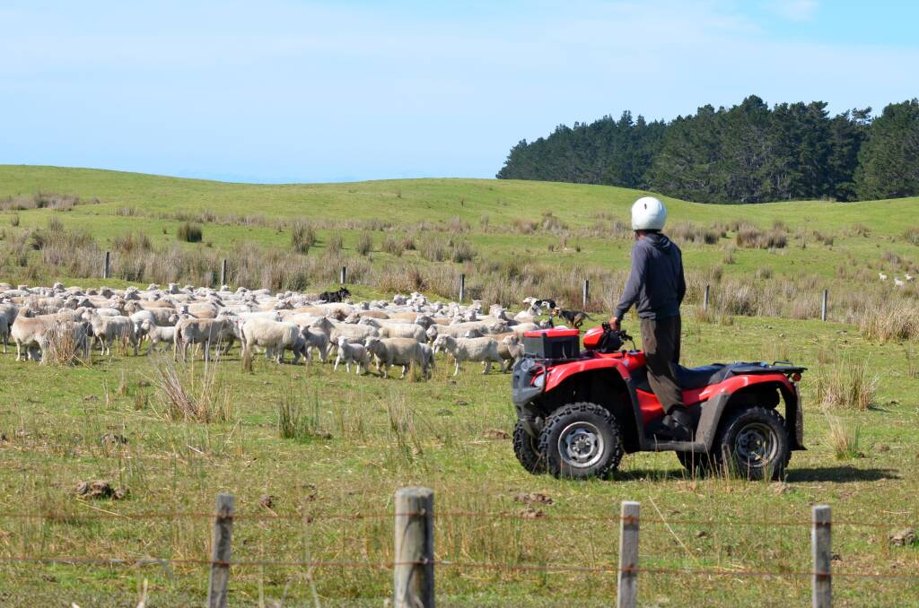 BE AWARE: Quads, tractors, motorbikes and horses accounted for almost half of all farm accidents in 2018.