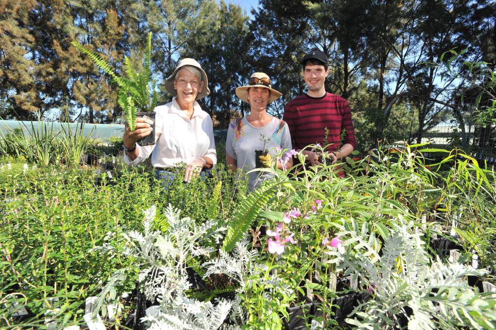 A BLOOMIN' LOVELY TIME: Volunteers Judy Kilby, Tracey Nash and Lawrence Hall prepare for the plant sale. Photo: JUDE KEOGH 0329jkplants2