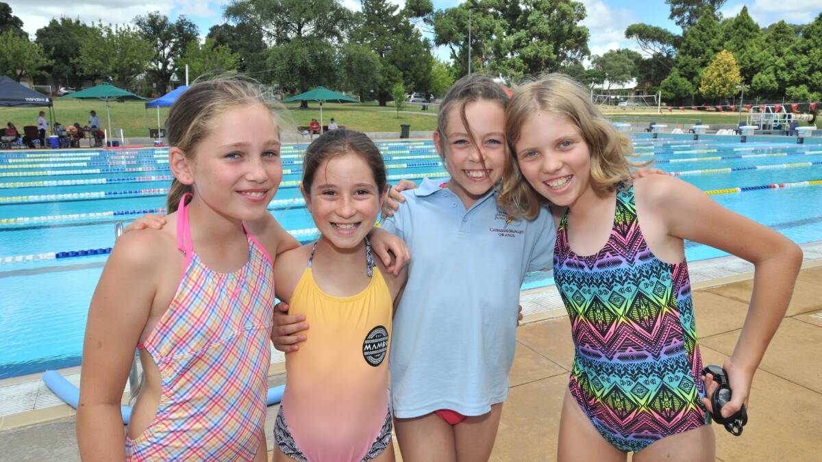 GALLERY: Catherine McAuley Primary School swimming carnival | Central ...