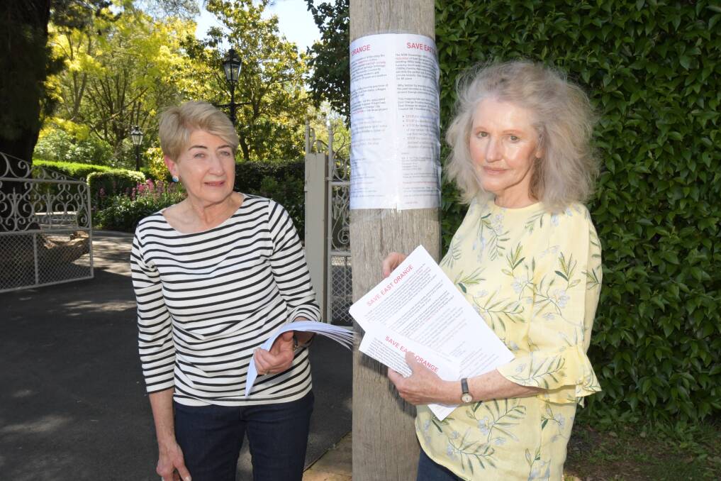 SPREAD THE WORD: Nancy Walsh and Deanne Phillips are letterboxing East Orange about the demolition of social housing. Photo: JUDE KEOGH.