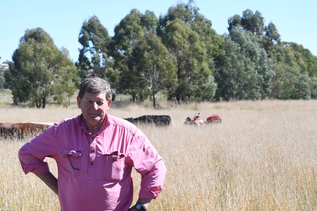 BETTER OPTION: Mayor Reg Kidd on the council-owned land beside the Northern Distributor on Monday. Photo: CARLA FREEDMAN. 