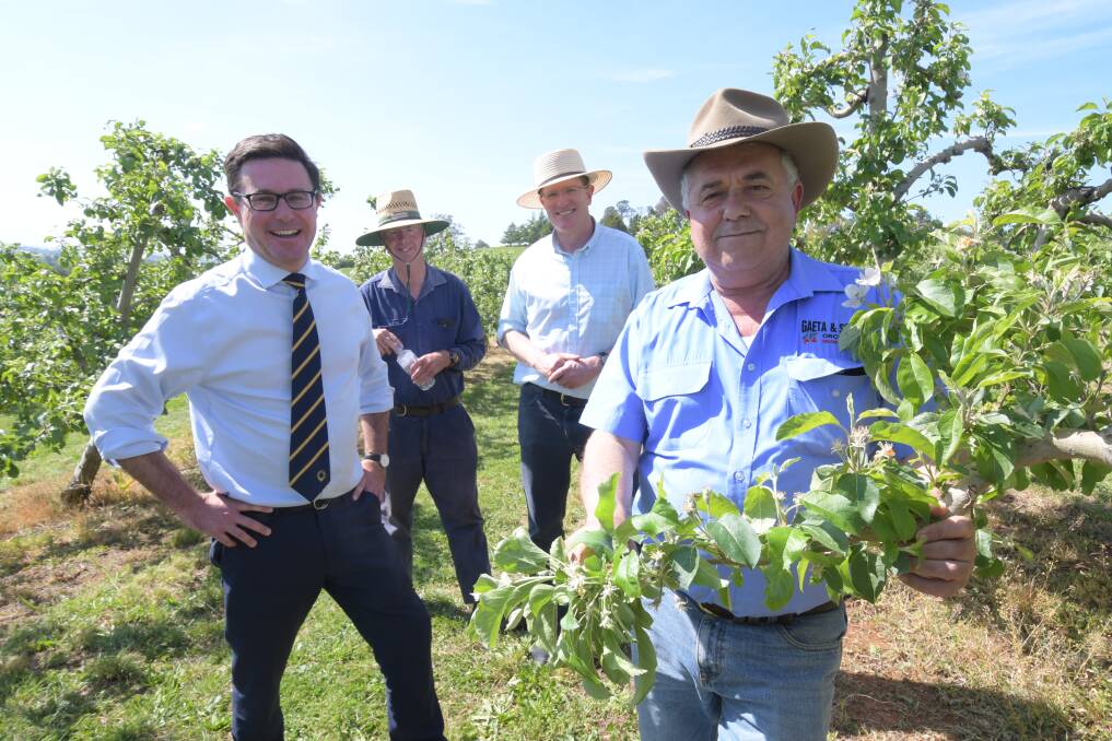 FUNDING: Agriculture minister David Littleproud, grower Peter West, MP Andrew Gee and grower Guy Gaeta. Photo: CARLA FREEDMAN.