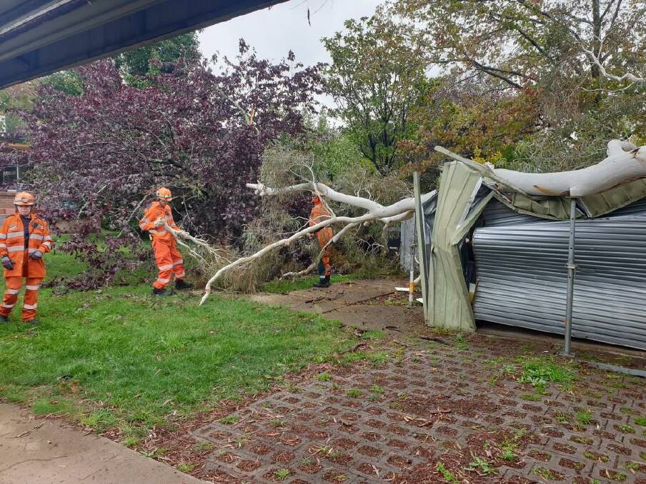 BOUGH DOWN: Orange SES attend to storm damage following recent heavy rains. Photo: SUPPLIED.