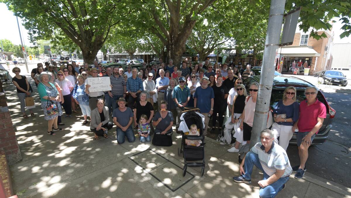 NO WAY: People gathered by the trees on Anson Street on Friday afternoon to protest any future plans to cut them down. Photo: JUDE KEOGH. 