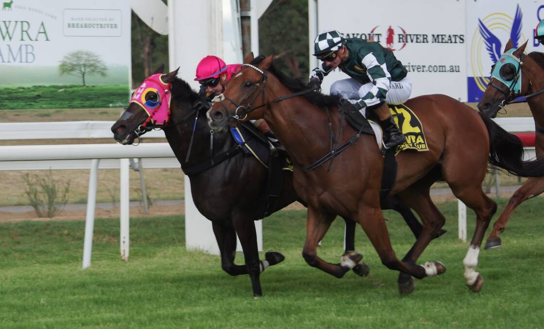 Images from both the Cowra Japan Cup and Cowra Cup.