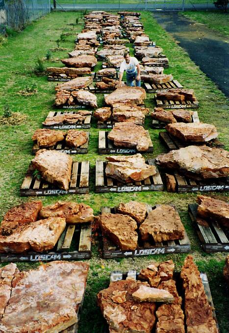 PRIZED POSSESSIONS: Dr Alex Ritchie with a selection of the fossil fish slabs collected in the 10 hectic days of the original dig.