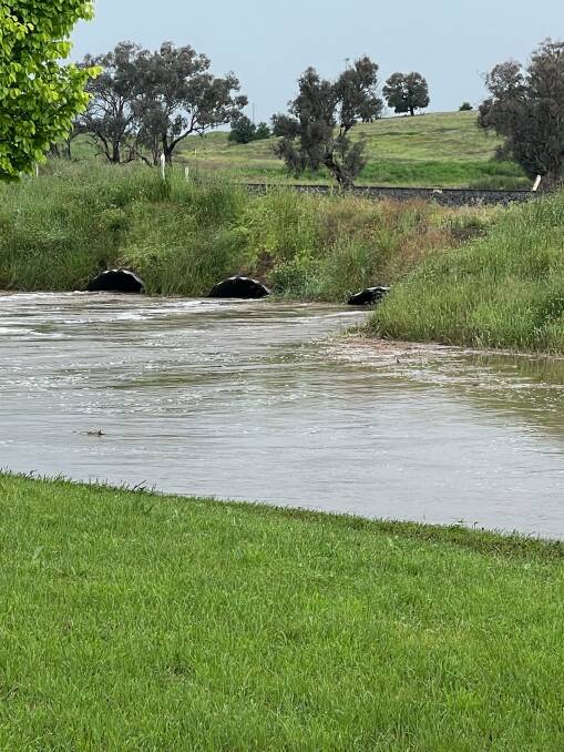 RECORD HIGH: Roadside flooding between Orange and Molong. Photo: JODIE OXMAN.