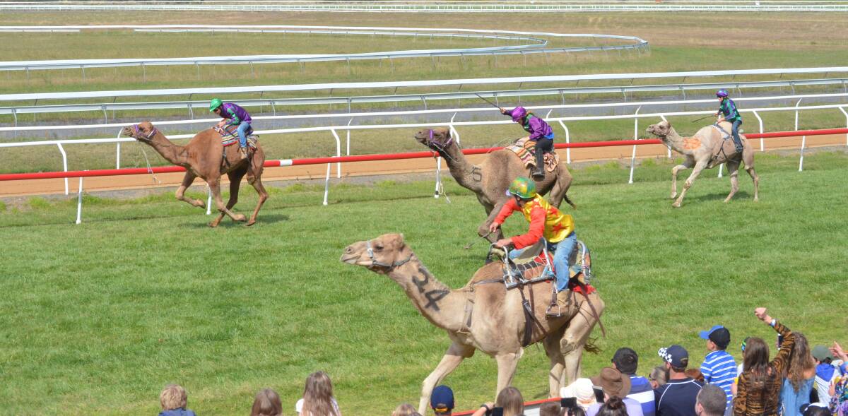 DRAWCARD: Mayor Reg Kidd says the camel races are just one of the key events which drive tourists to the region. 