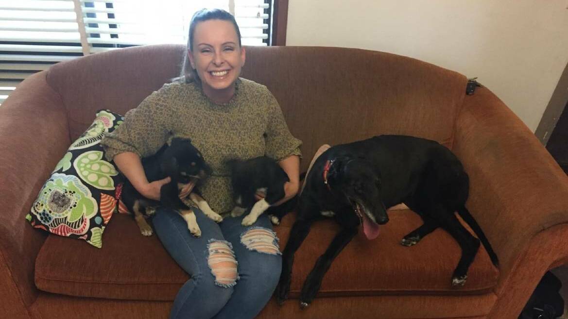 HELP NEEDED: Central West Animal Rescue founder Jasmine Smart with rescue dogs Holly, Ivy and Kathy.