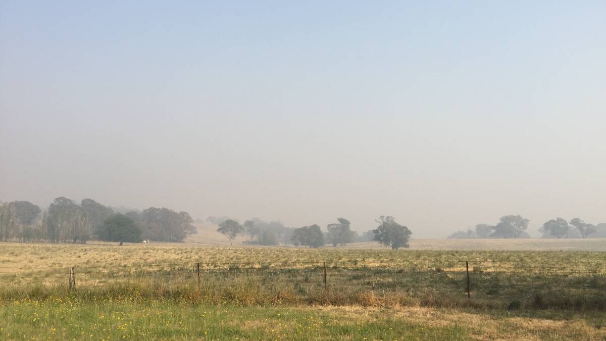 NOT HAPPY: The air quality in and around Orange is the worse in the state. Photo: JUDE KEOGH.