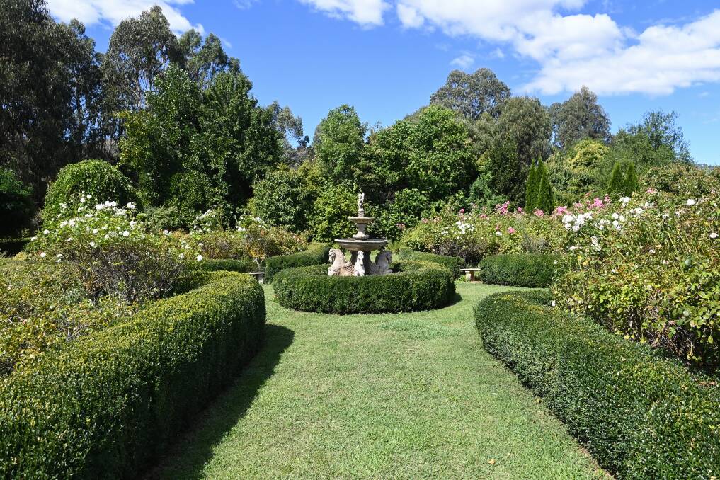 IMMACULATE: The extensively landscaped gardens at Brookfield Maze are a delight to behold.