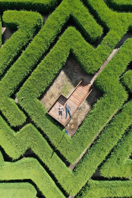 PICTURE PERFECT: It's not every day a maze comes up for sale. Picture: MARK JESSER