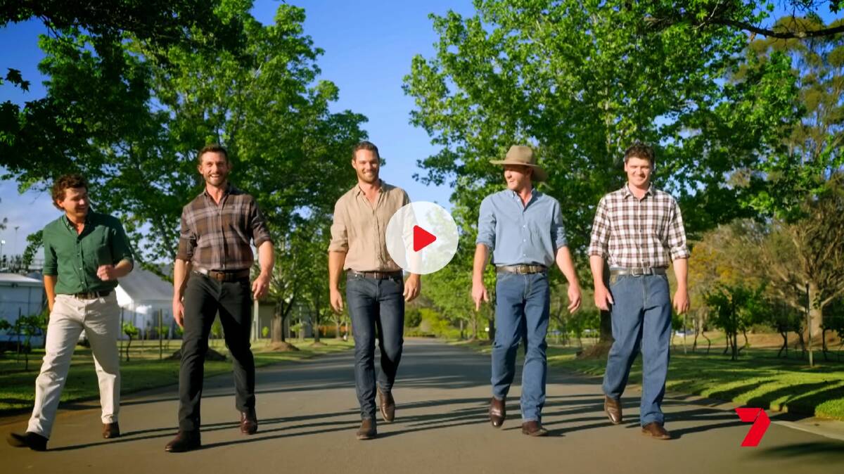 The five farmers who will look for love on Farmer Wants a Wife season 14. Picture by Seven Network