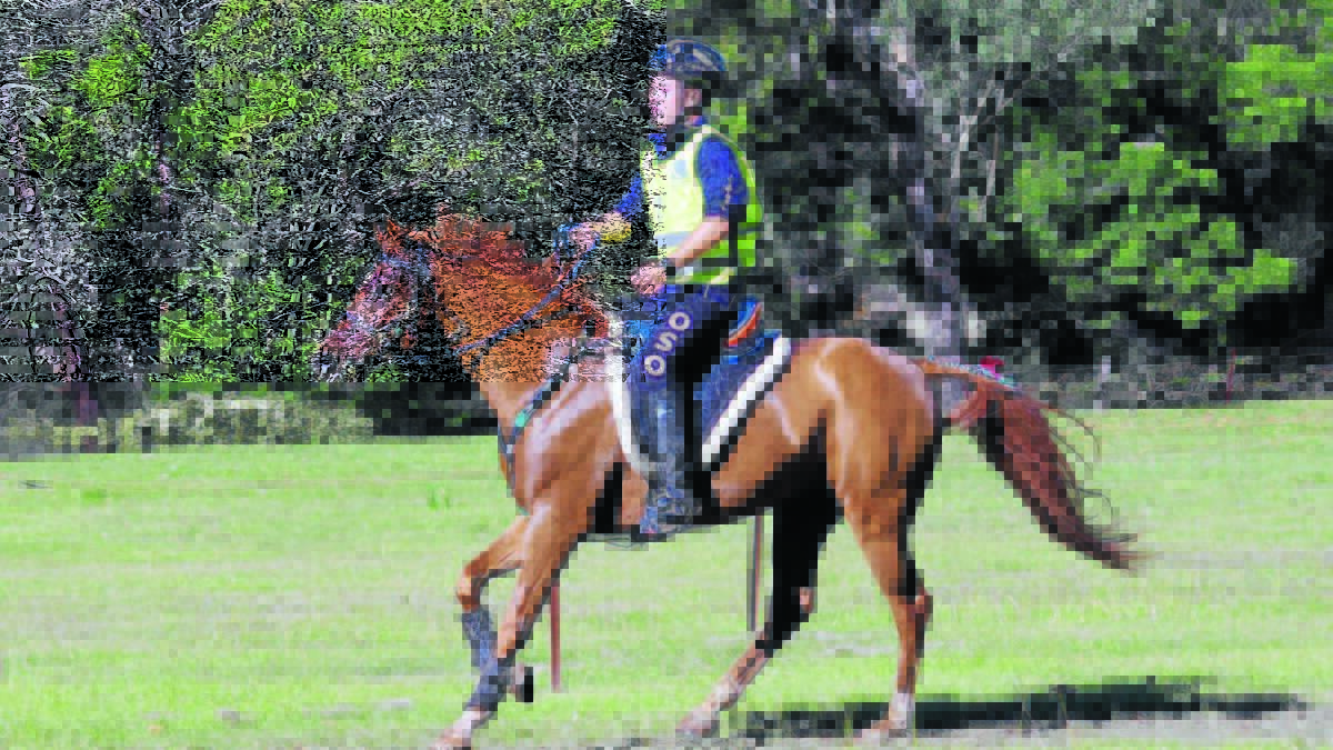 RIDING TALL: Ben Hudson will compete for Australia in endurance riding, a gruelling sport. Photo: MUDGEE GUARDIAN