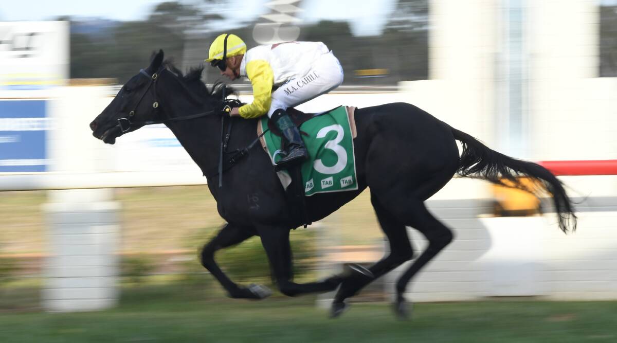 POTENTIAL DEFENDER: Letter to Juliette storms home to win last year's Orange Gold Cup. Her nomination in Sunday's prelude suggests she'll be back to defend that crown this year. Photo: JUDE KEOGH