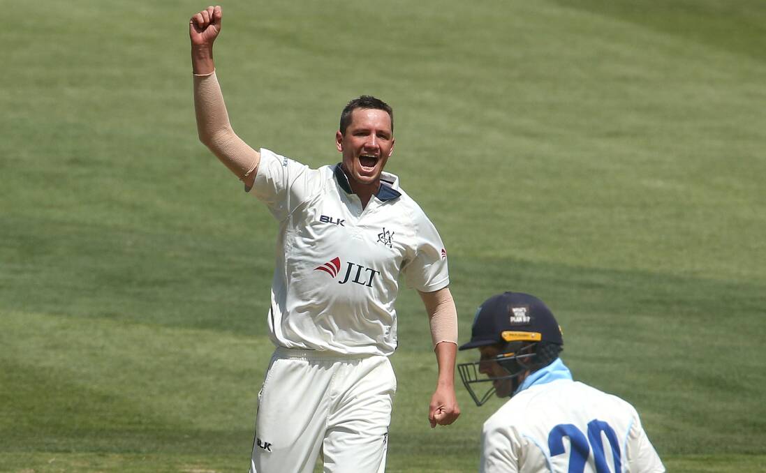 HOPEFUL: Chris Tremain celebrates the wicket of Peter Nevill earlier this summer, no doubt he's smiling now too, after being named in Australia's Test Squad. Photo: AAP/HAMISH BLAIR
