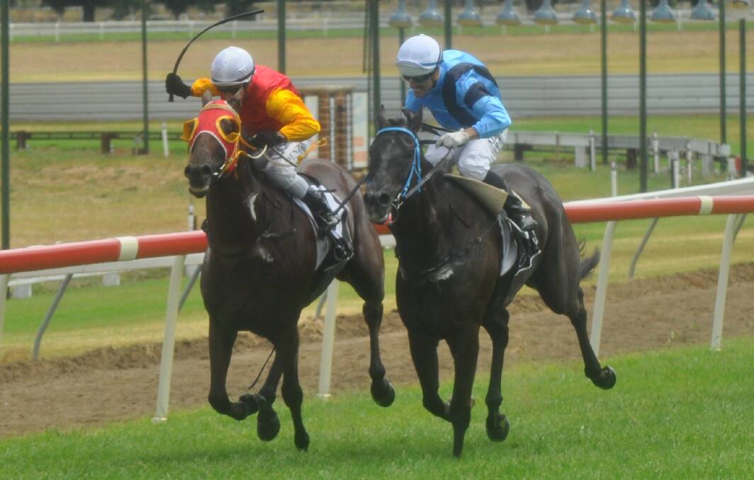 OUTSIDE CHANCE: Subway Surfer storms down the straight on his way to a victory at Mudgee. Photo: NICK McGRATH