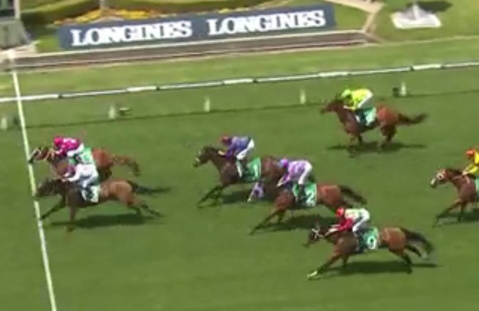 NOTHING IN IT: Absolute Ripper (outside) and Isla Tristana fought it out at Rosehill, with the latter prevailing in a photo-finish. Photo: SCREENSHOT