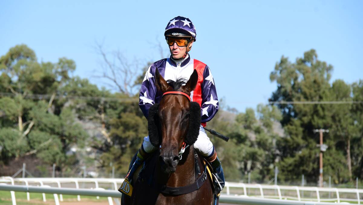 SUCCESS: Mathew Cahill rode Dean Mirfin's Jetgirl to a nervy win at Wellington. Photo: AMY McINTYRE