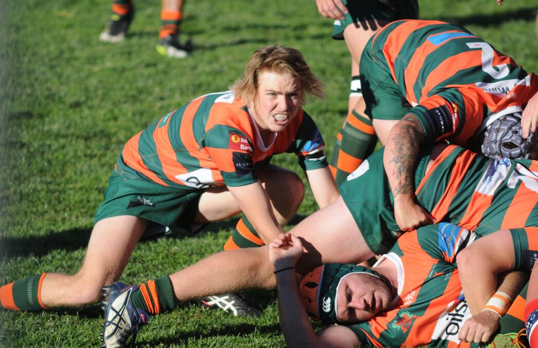 INJURY CLOUD: Orange City halfback Tom Nell is one of several players that will be given virtually until kick off against the Mudgee Wombats on Saturday to prove their fitness. Photo:STEVE GOSCH 0514sgrugby2