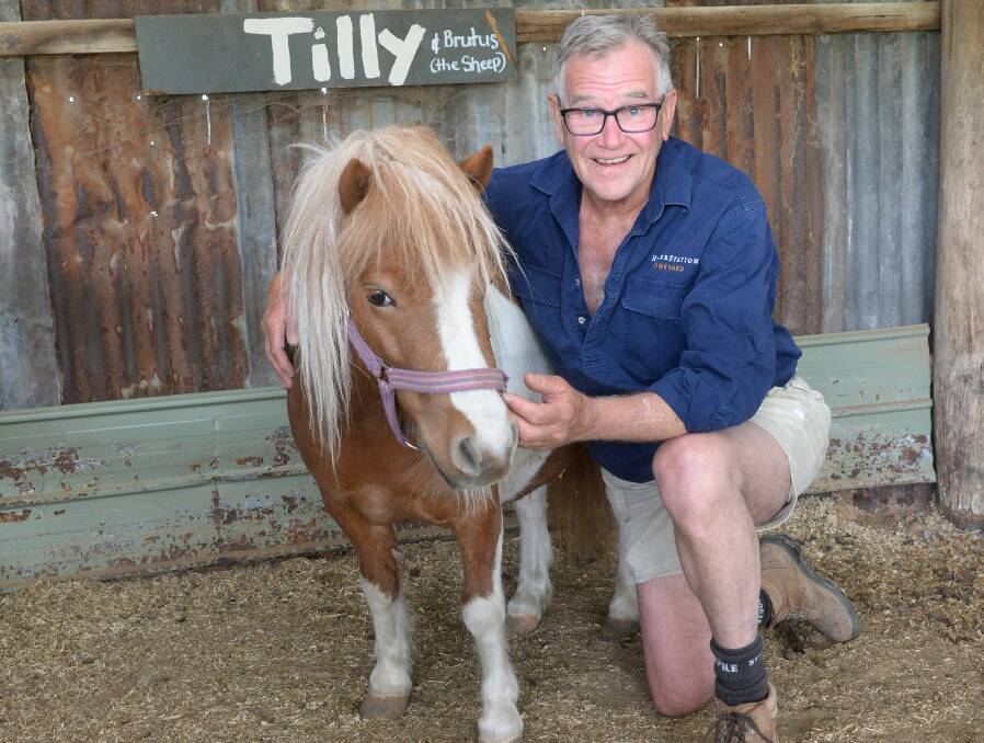 RECOVERED: Tilly the pony with Heifer Station owner Phillip Stivens in 2018. The animal has recovered after an incident of mistreatment by a visitor last weekend. Photo: THE LAND