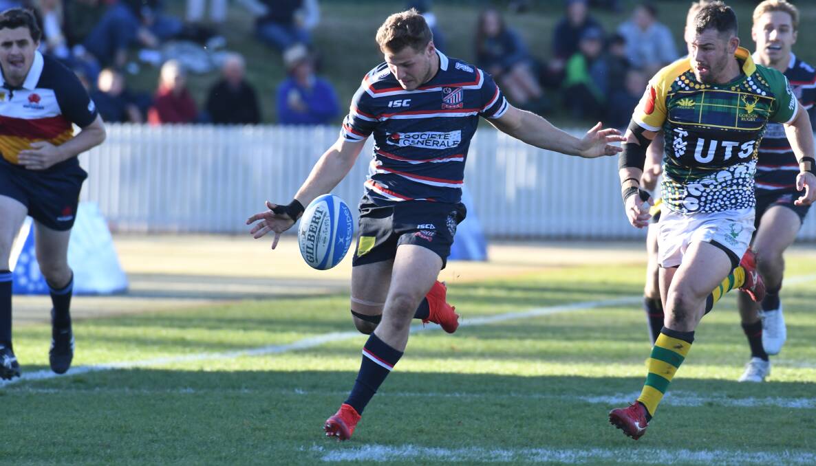 HOMECOMING: Dan Donato punches a kick forward at Wade Park on Saturday, the Lions junior was among the Beasties' best although the result was less than ideal. Photo: CARLA FREEDMAN