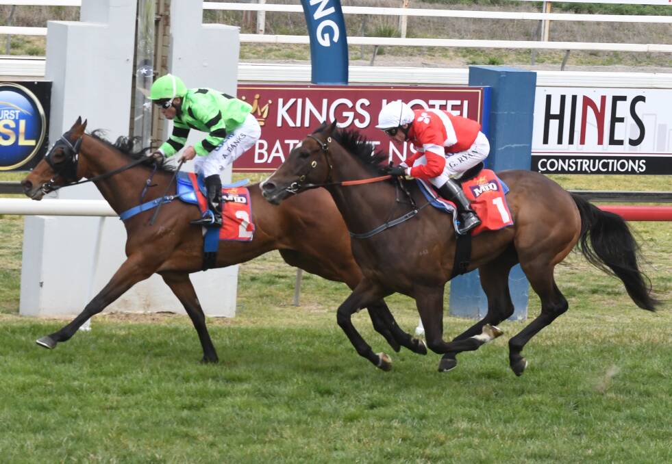 MORE SUCCESS: 2017 Soldier's Saddle winner Elle A Walking edges past Tony's Reward in the second at Bathurst. Photo: CHRIS SEABROOK