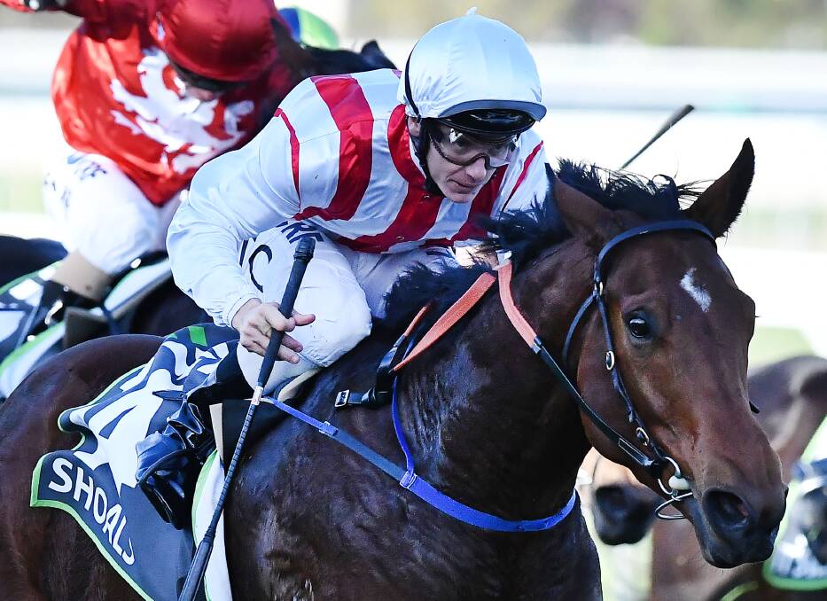 CHERRY RIPE: Tim Clark steers Shoals to victory in the Sangster Stakes earlier this year. Photo: AAP/MARK BRAKE