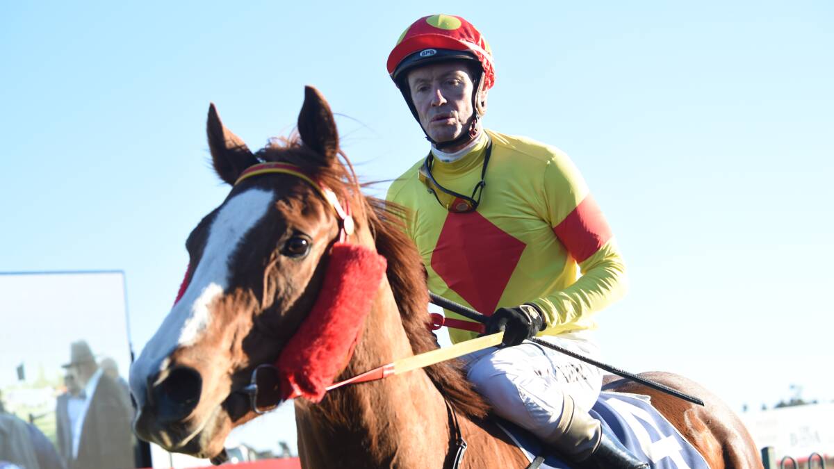 CHAMPION: Mathew Cahill rode Disturbance to a win in the Dubbo City Toyota Gold Cup on Sunday afternoon. Photo: AMY McINTYRE