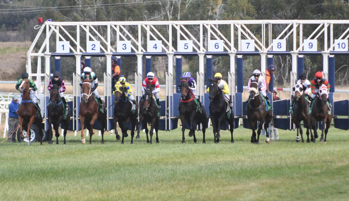 OFF AND RUNNING: The Orange Gold Cup field shoots out of the barriers, with Michael Plummer's Bathurstian (fourth from left) striding to the front of the pack early. Photo: JUDE KEOGH