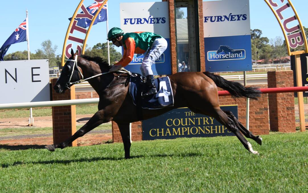 FINAL-BOUND: Westlink storms to victory in Dubbo's Country Championships Qualifier on Sunday afternoon. Photo: AMY McINTYRE