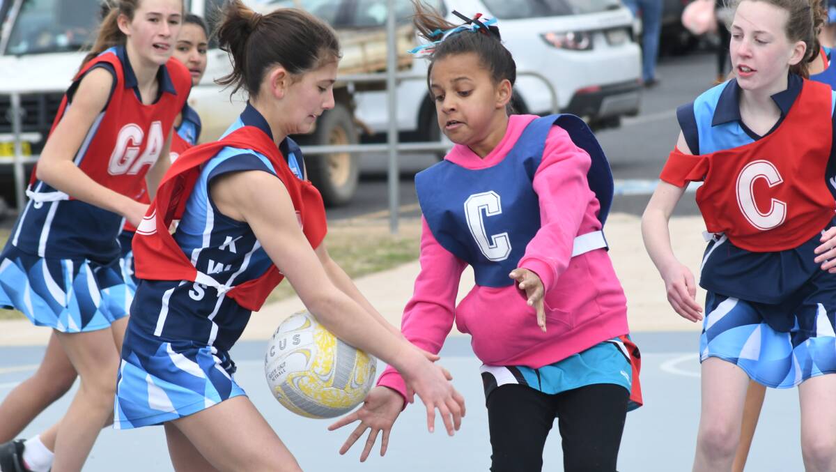 All the action from junior sporting fields around the region, photos by JUDE KEOGH, CARLA FREEDMAN, CONTRIBUTED