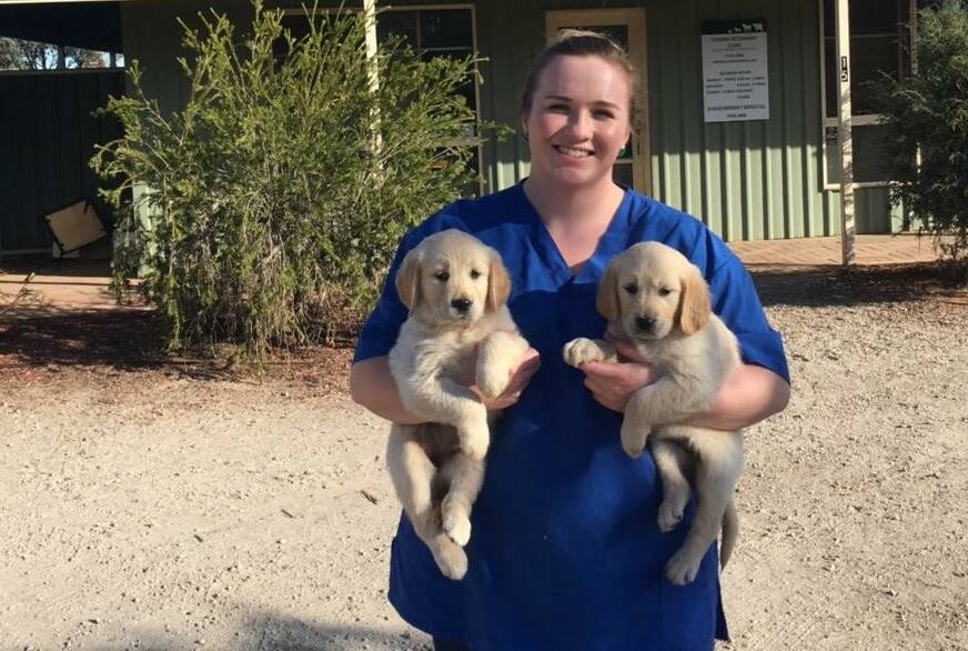 EQUALITY: Dr Amy Munro wants to use her platform to inform the community of the challenges veterinarians face, particularly in terms of mental health and gender equality. Photo: CONTRIBUTED