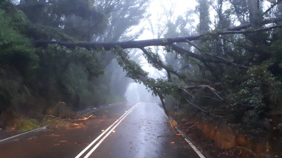 CLOSED: The Bells Line of Road is closed after landslides brought trees down in the Mount Tomah area. Photo: TRANSPORT FOR NSW