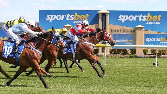 THE CHAMP: Henry's Affair sneaks home in Friday's The Hotham, there was next to nothing separating first to fifth. Photo: SPORTSBET