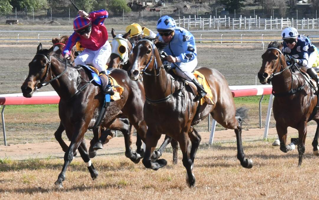 TOO GOOD: Molasses (right, blue silks) whizzes past Heza Thief to win at Wellington on Tuesday. Photo: NICK GUTHRIE