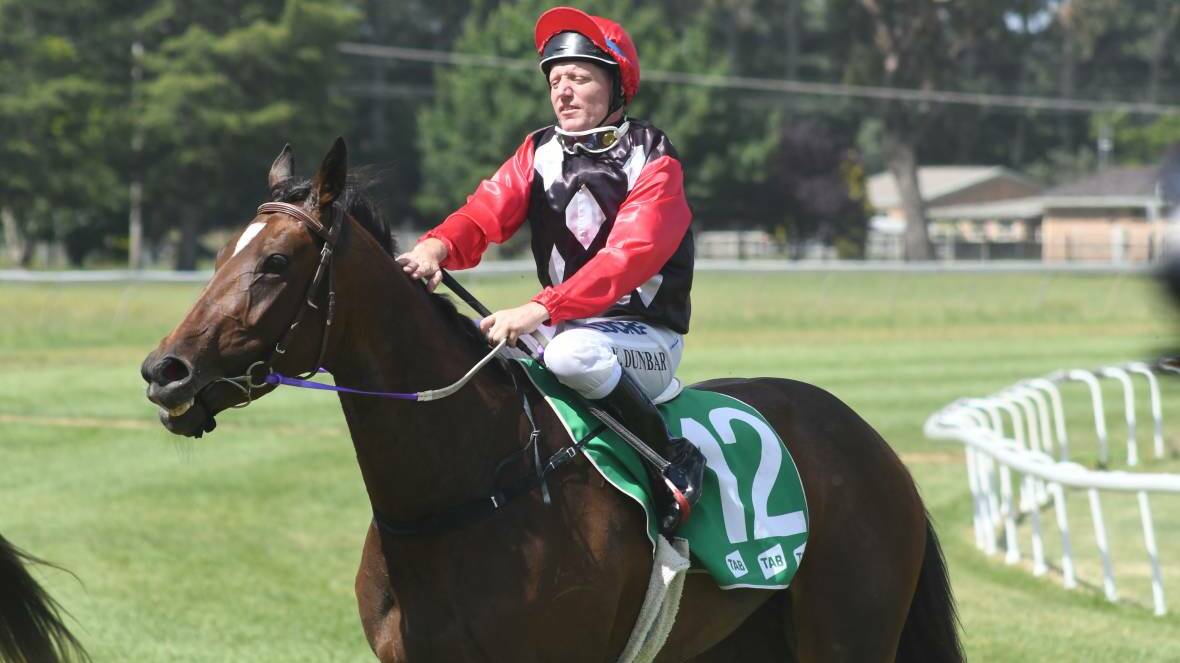 BACK FOR MORE: Ken Dunbar on board Sass'n'Twinkle after riding the mare to second at Orange, he's in her saddle again on Sunday at Dubbo. Photo: JUDE KEOGH